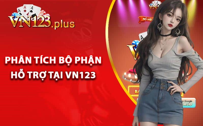 Phân tích bộ phận hỗ trợ tại Vn123